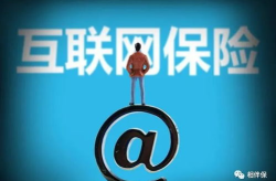 保险网络,构建安全可靠的金融保障体系