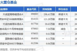 大成蓝筹天天基金网,深度解析蓝筹股投资策略与市场动态